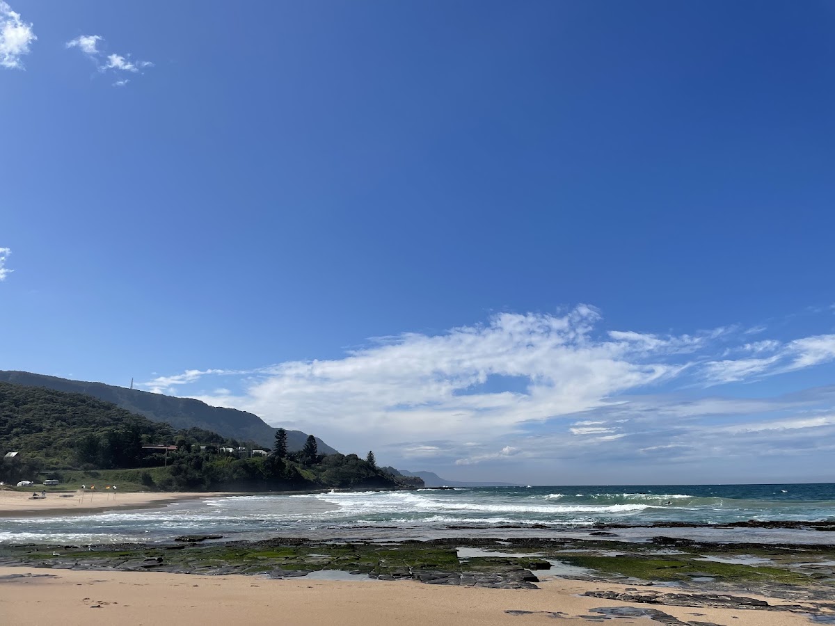 Coledale Beach