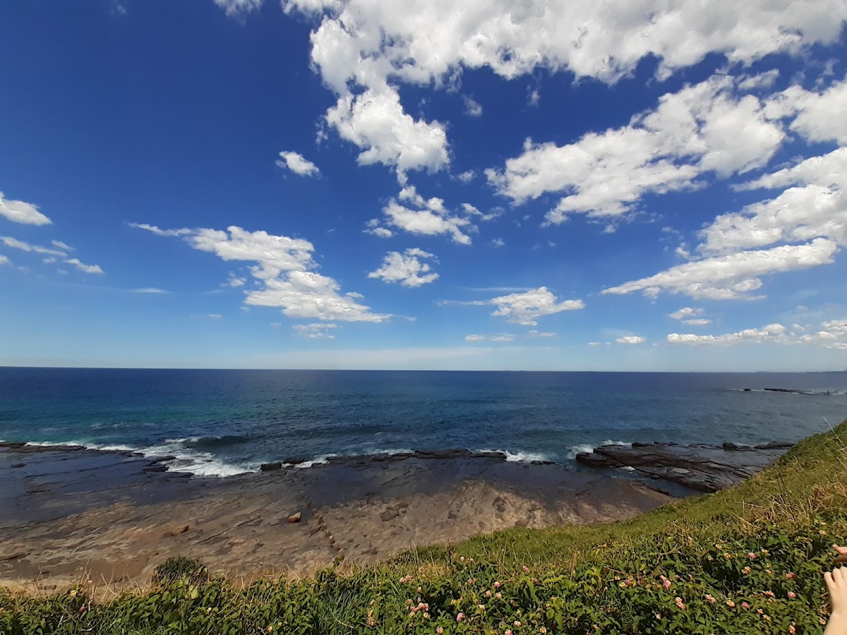 Coledale Beach