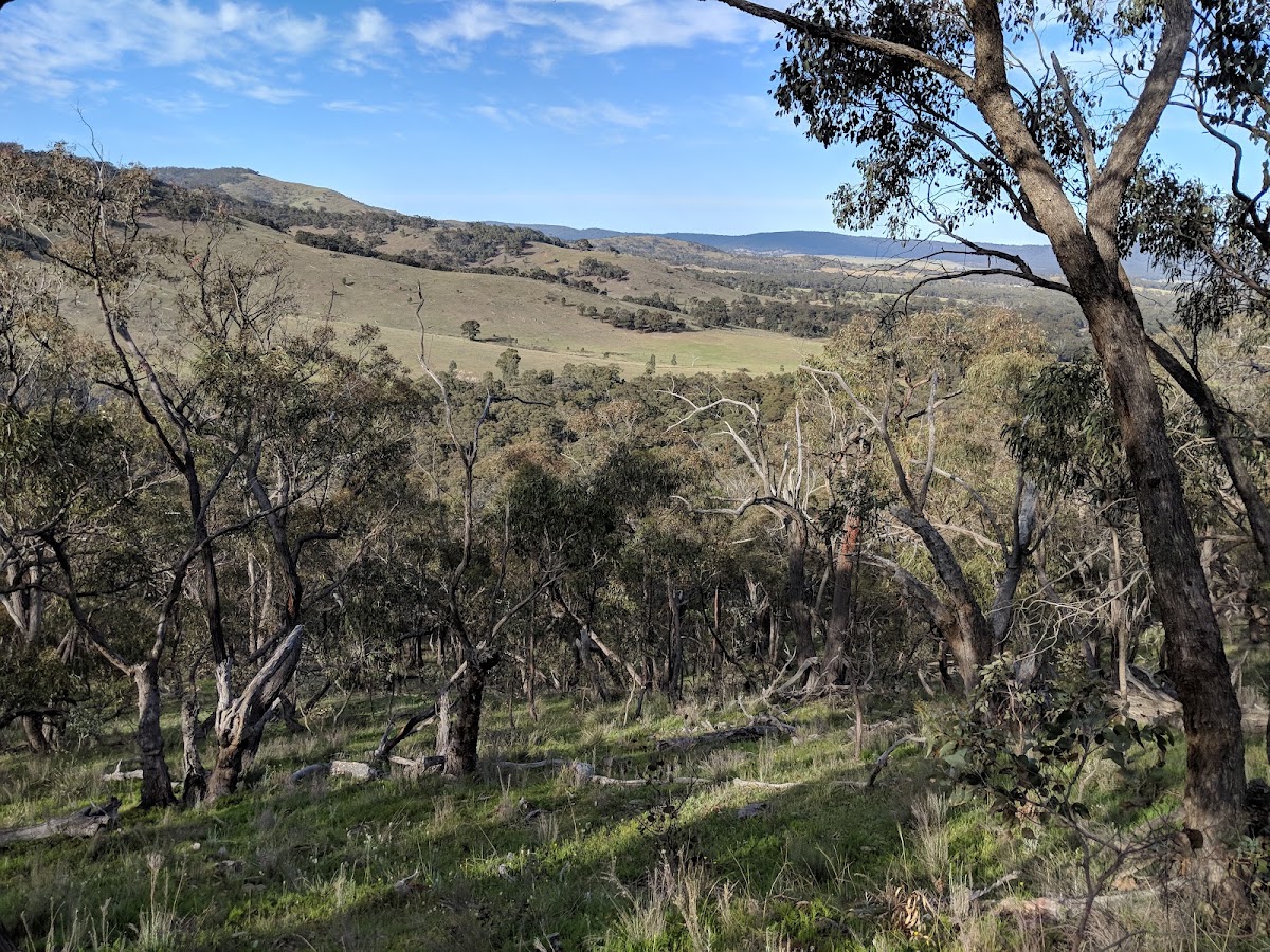 Kara Kara National Park