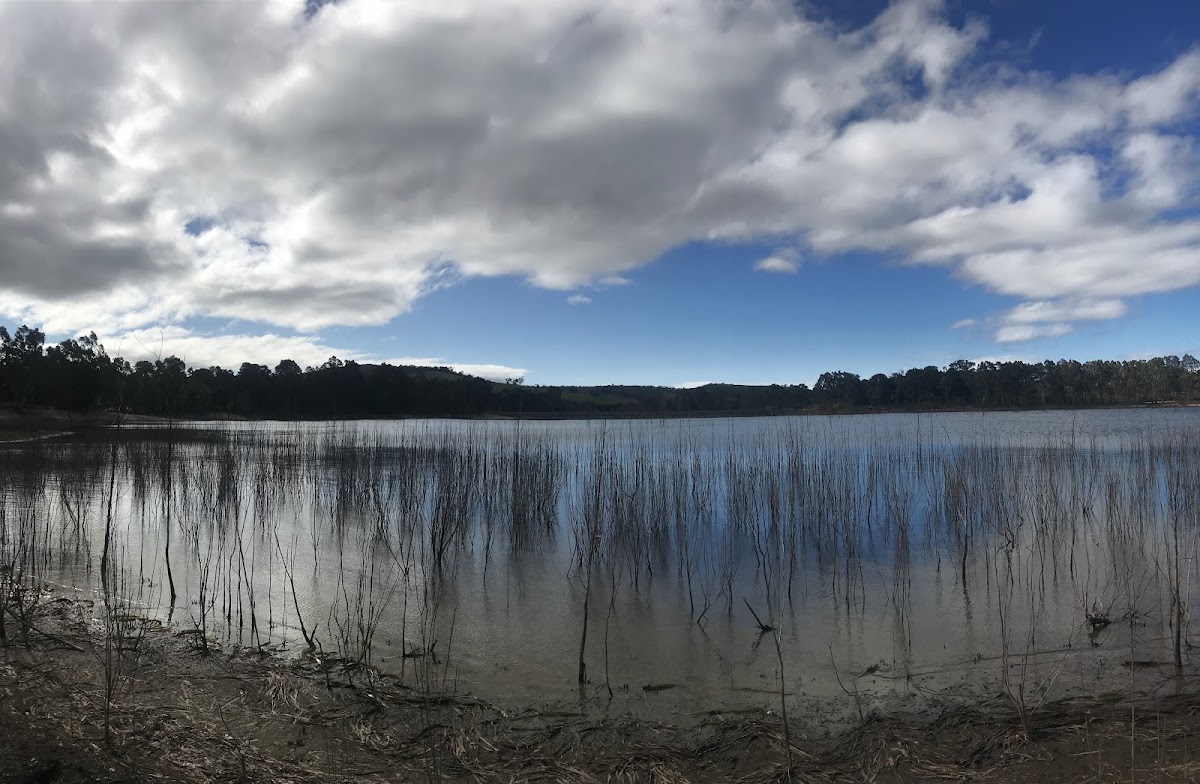 Kara Kara National Park