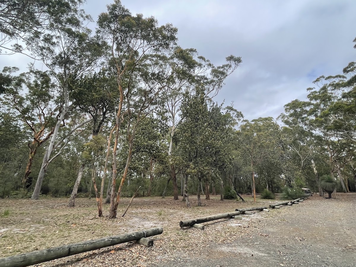 Boomeri Camping Area