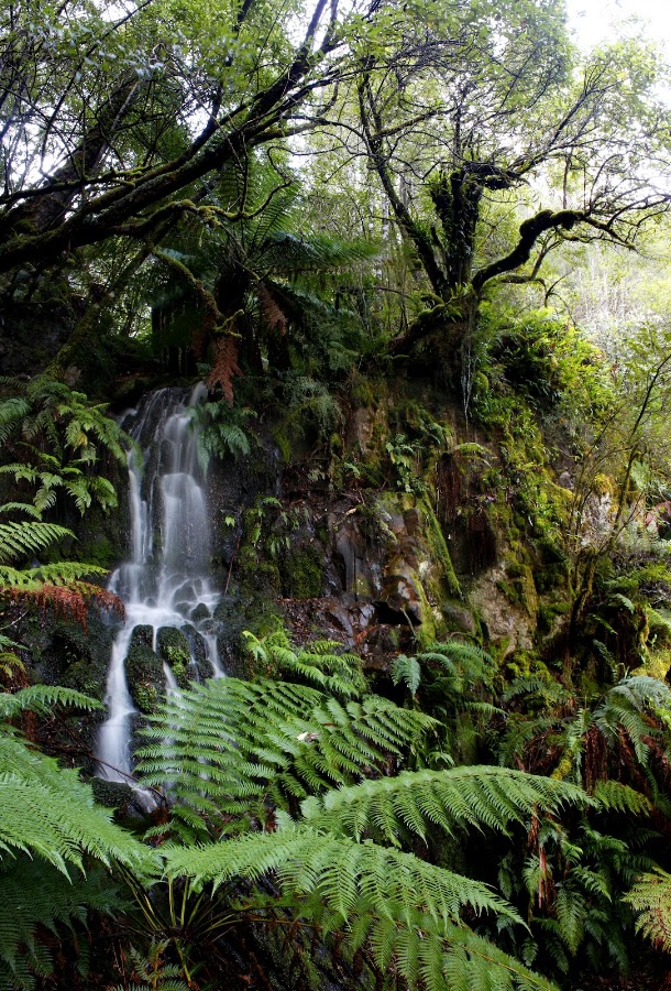 Hidden Falls