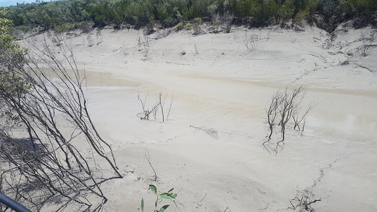 Newport Conservation Park