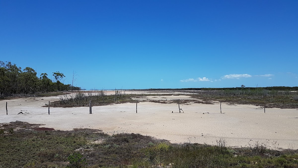 Newport Conservation Park