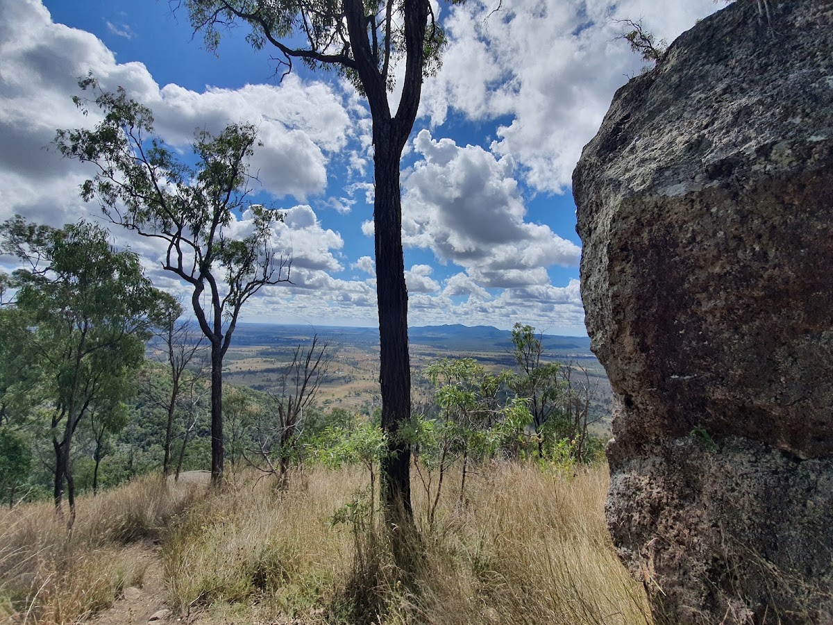 Mt Walsh Picnic Area