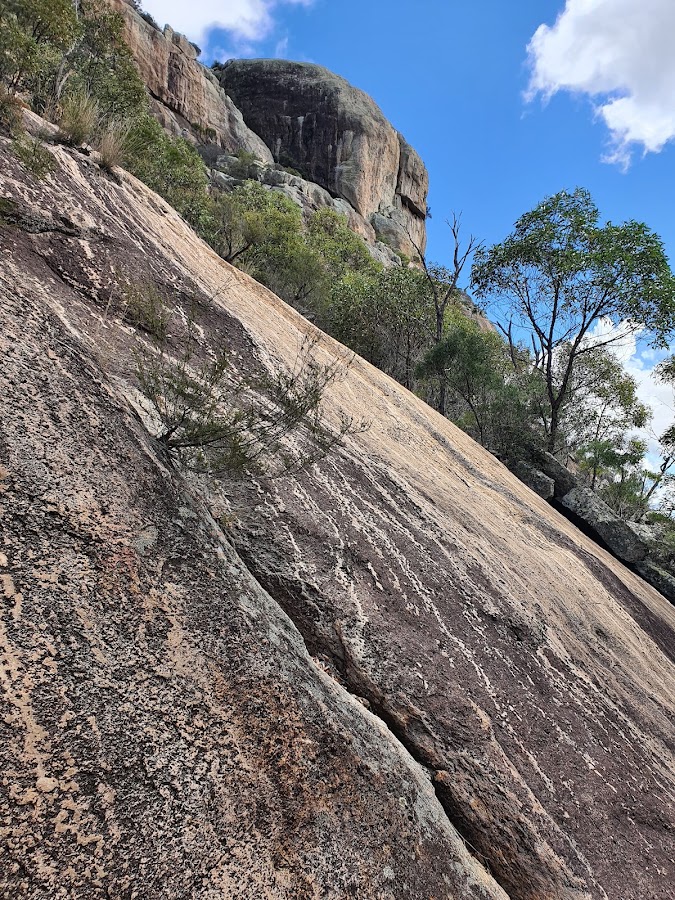 Mt Walsh Picnic Area