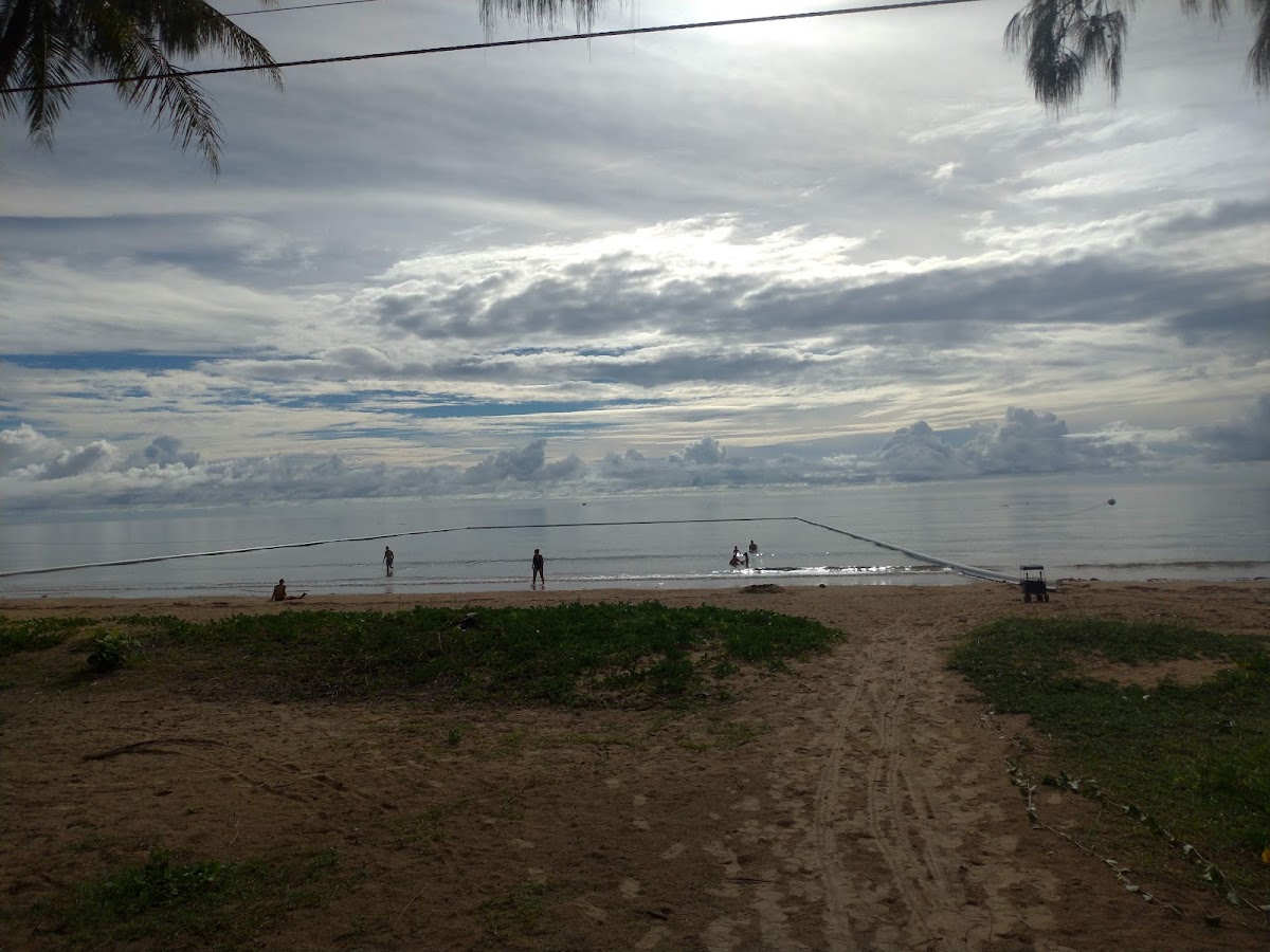 Stinger net (Mission Beach)