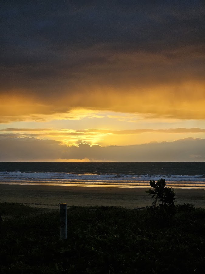 Stinger net (Mission Beach)