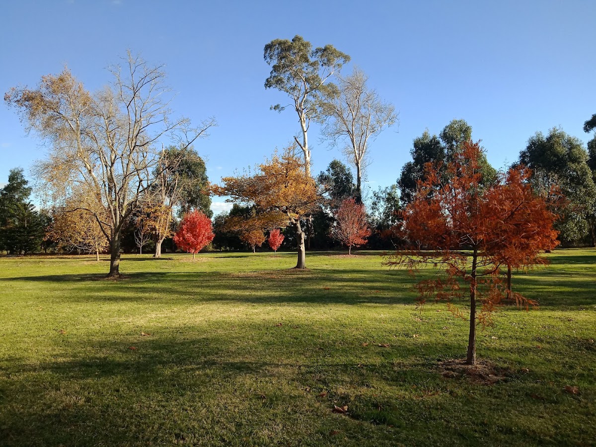Mossvale Park