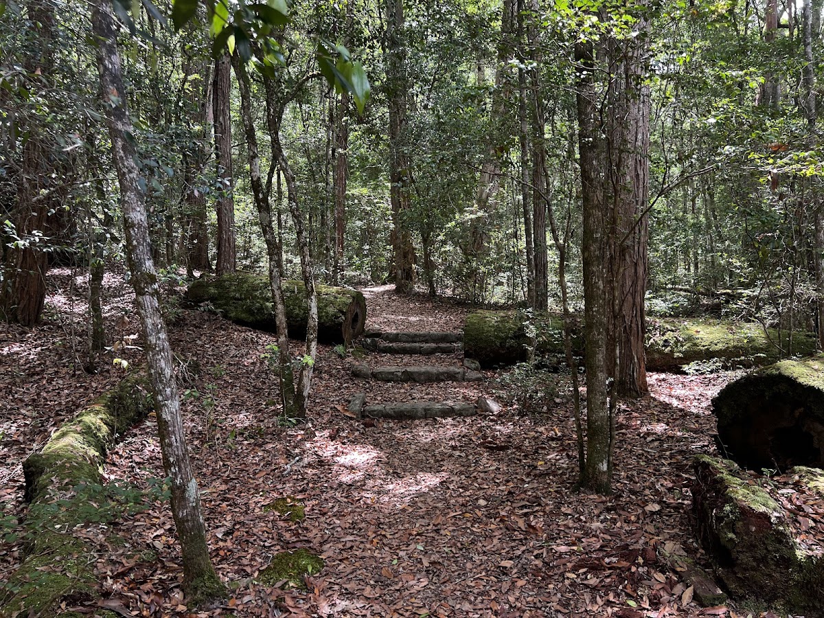 Woondum National Park