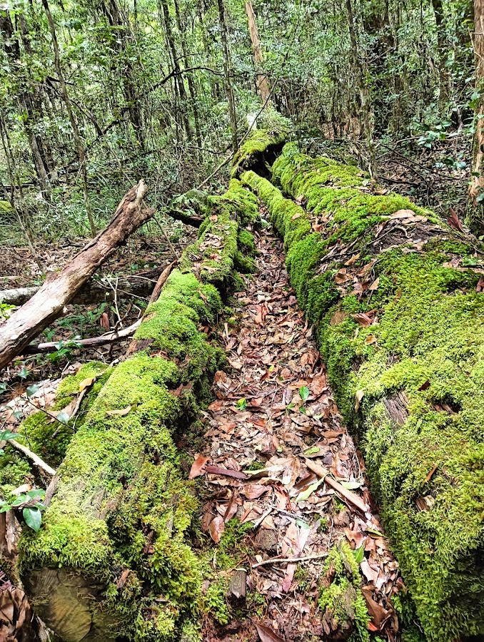 Woondum National Park