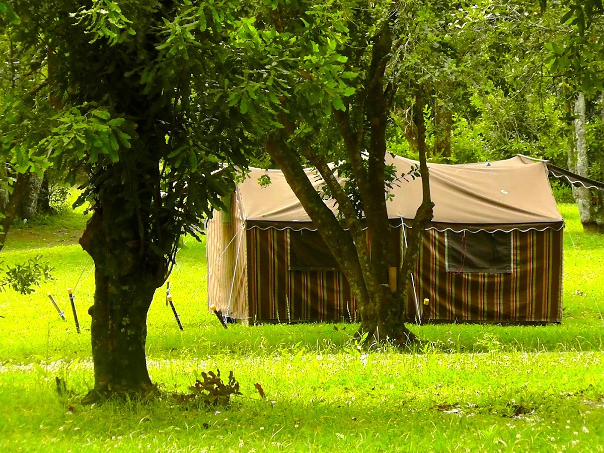 Maca s Camping Ground