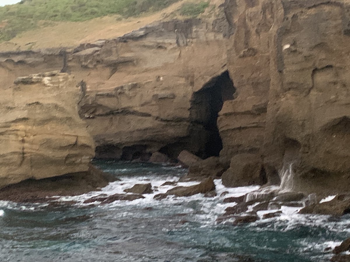 Coral Fern Beach