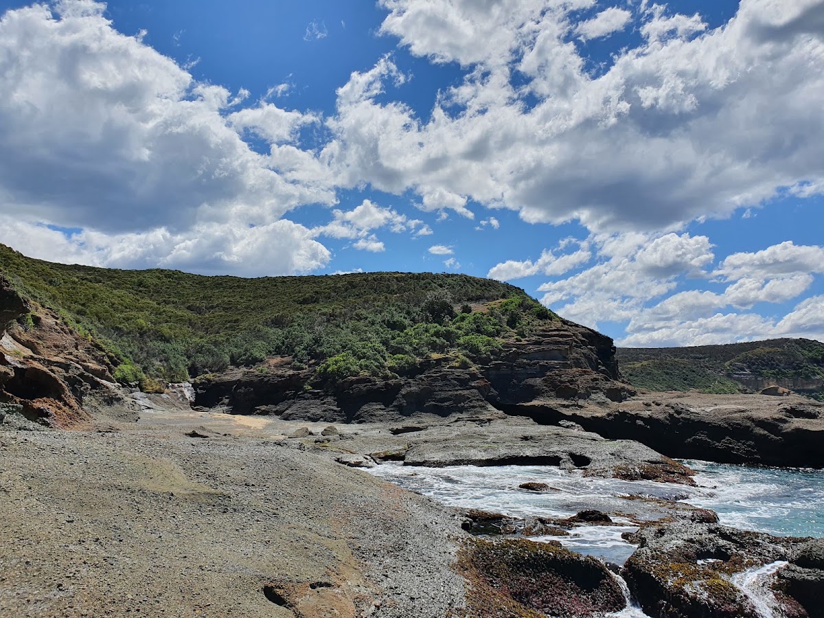 Coral Fern Beach