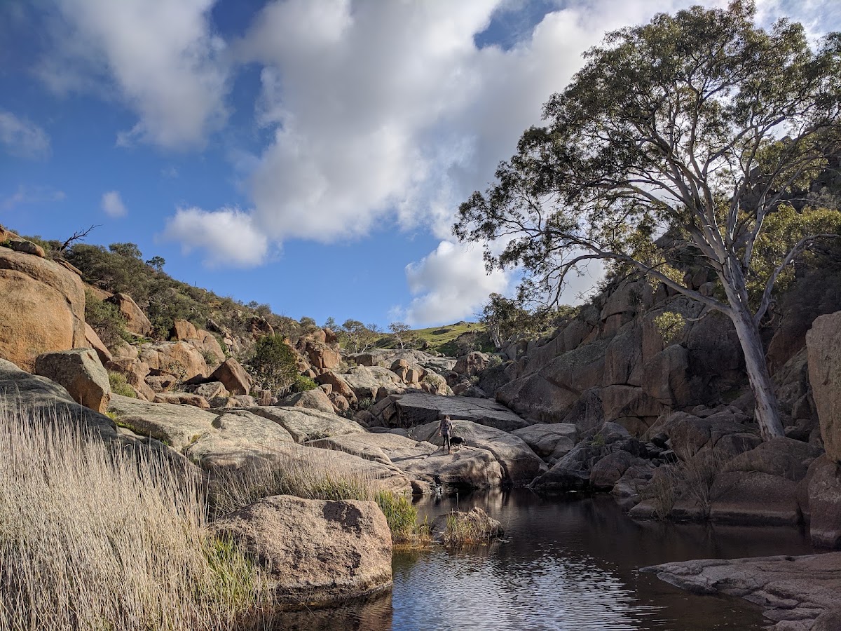 Mannum Falls