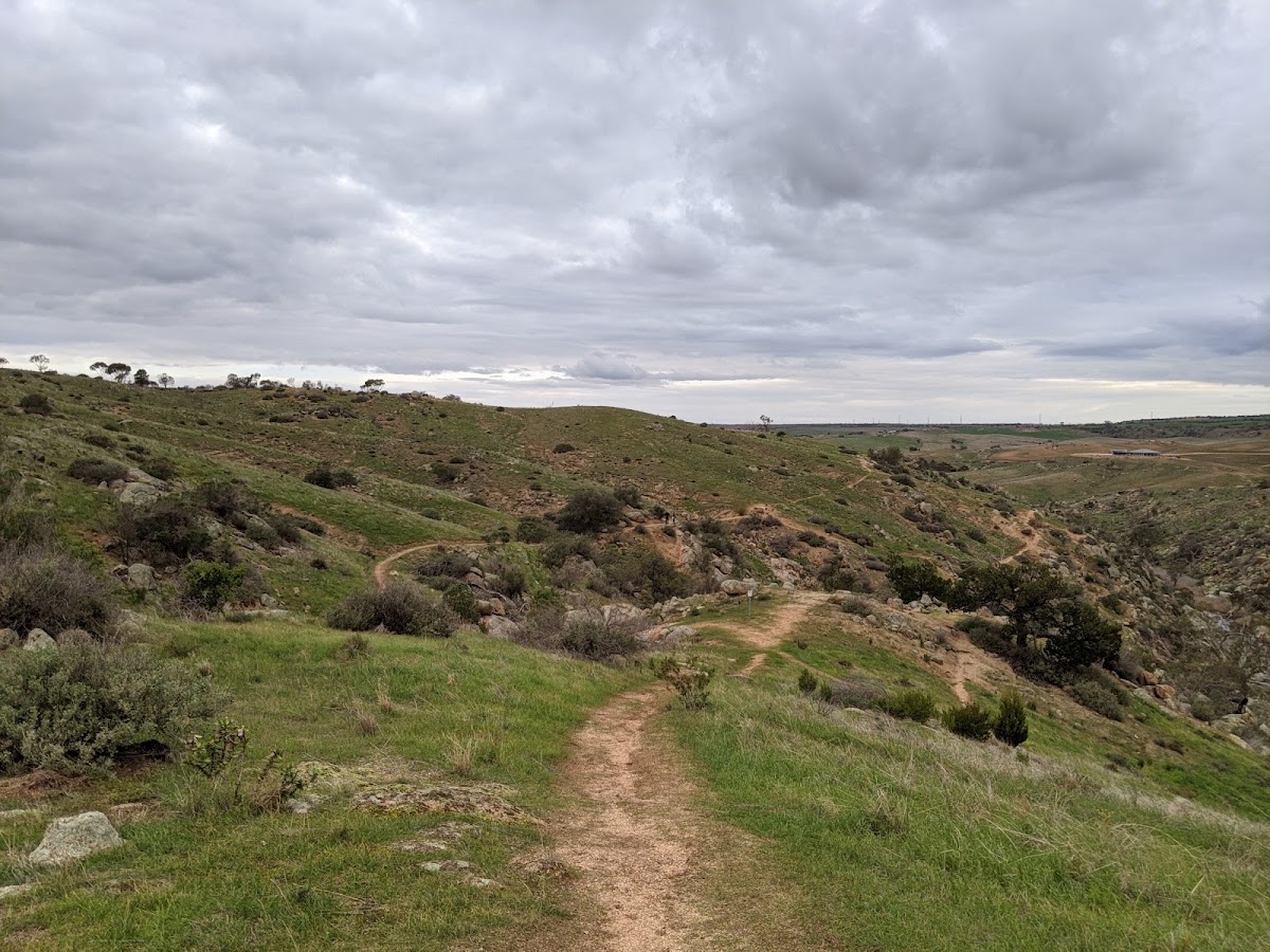 Mannum Falls