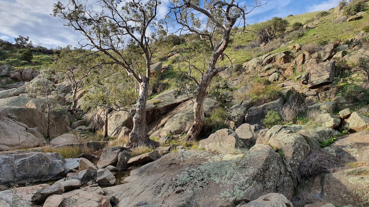 Mannum Falls