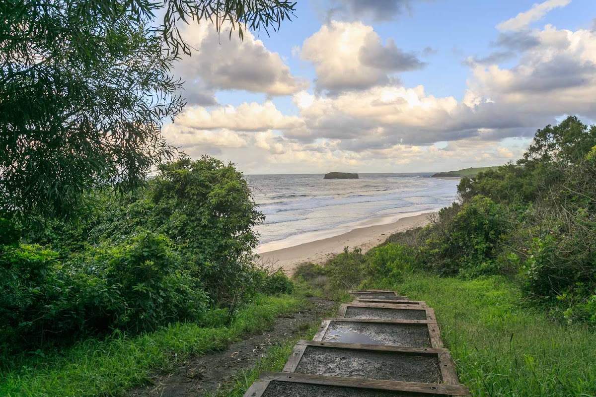 Killalea State Park Camping Area