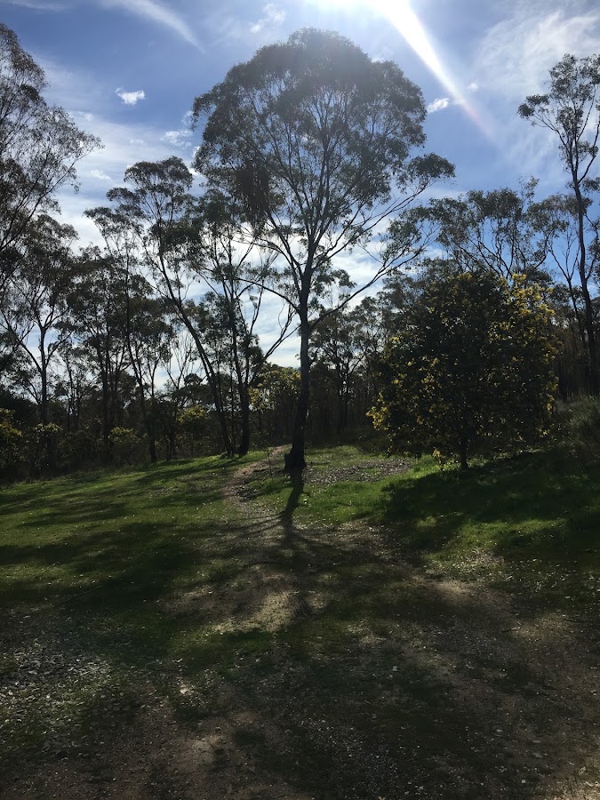 Walmer State Forest