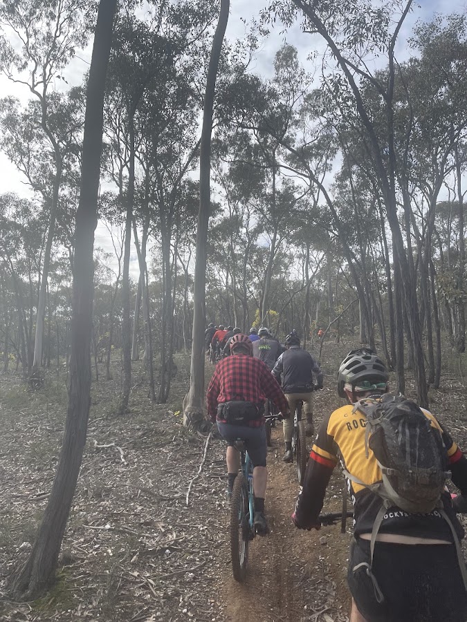 Walmer State Forest
