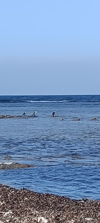 Little Bay Campground