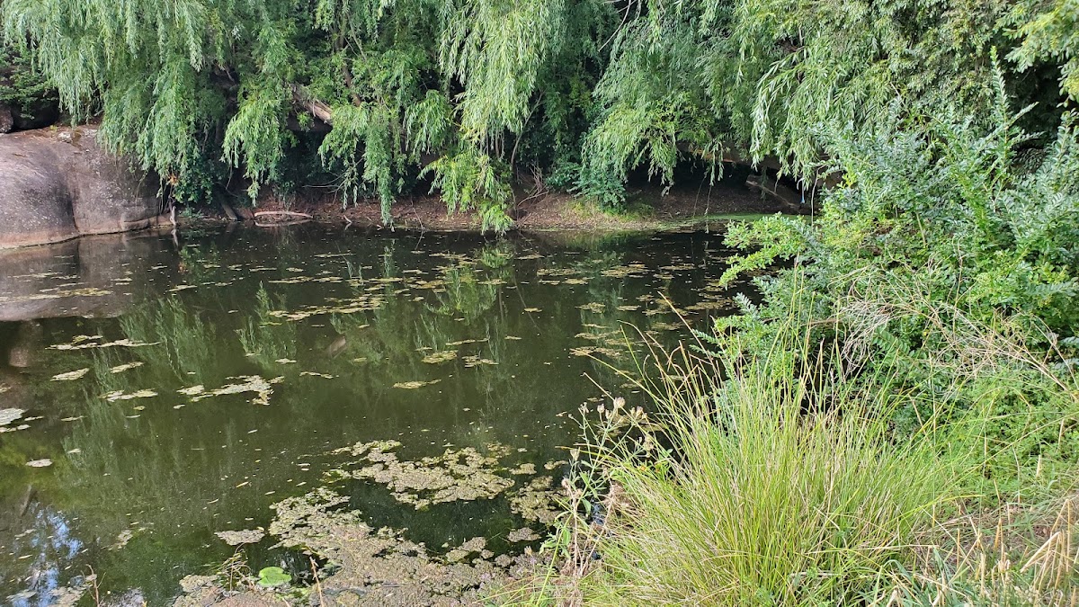 Joseph Wills Park
