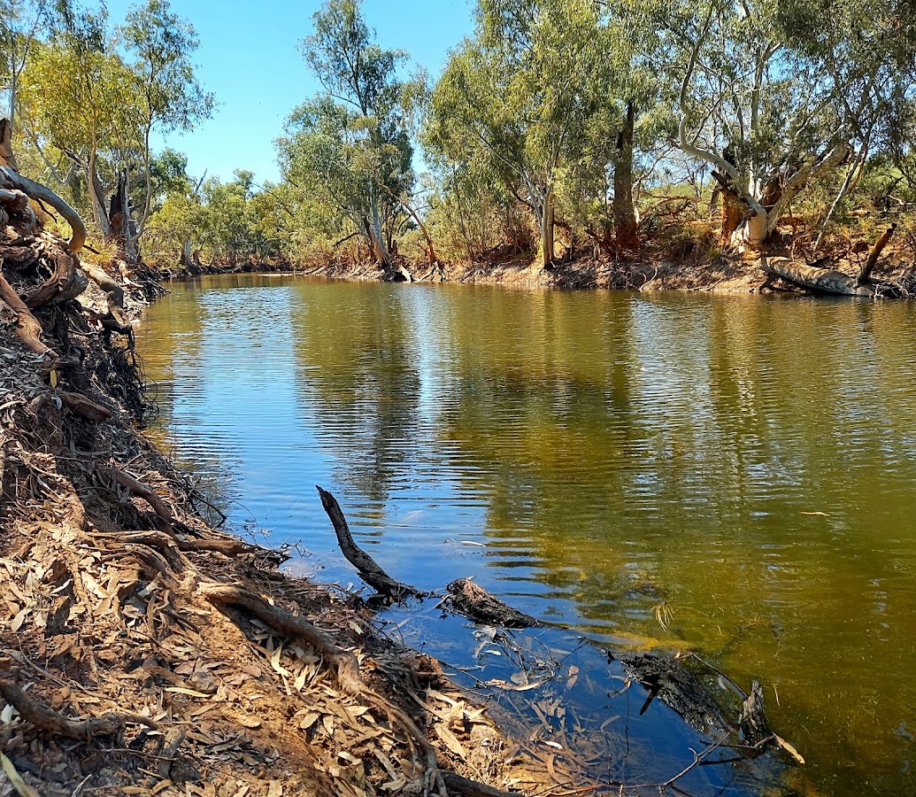 Gascoyne River (Middle Branch)