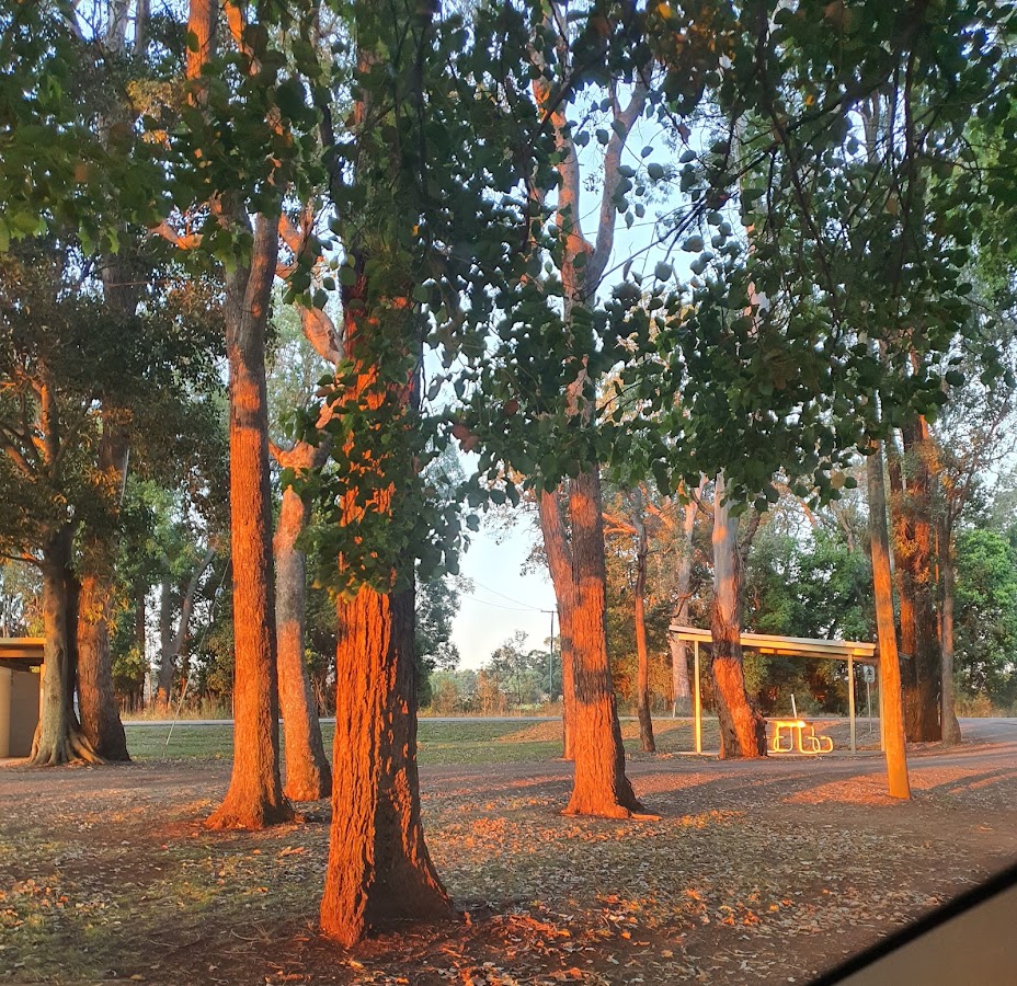 Coolabunia Rest Area