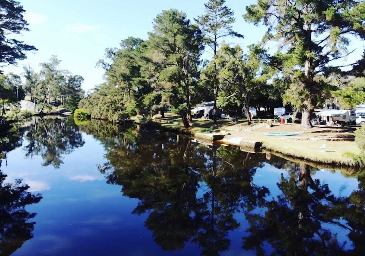King River Palms Caravan Park