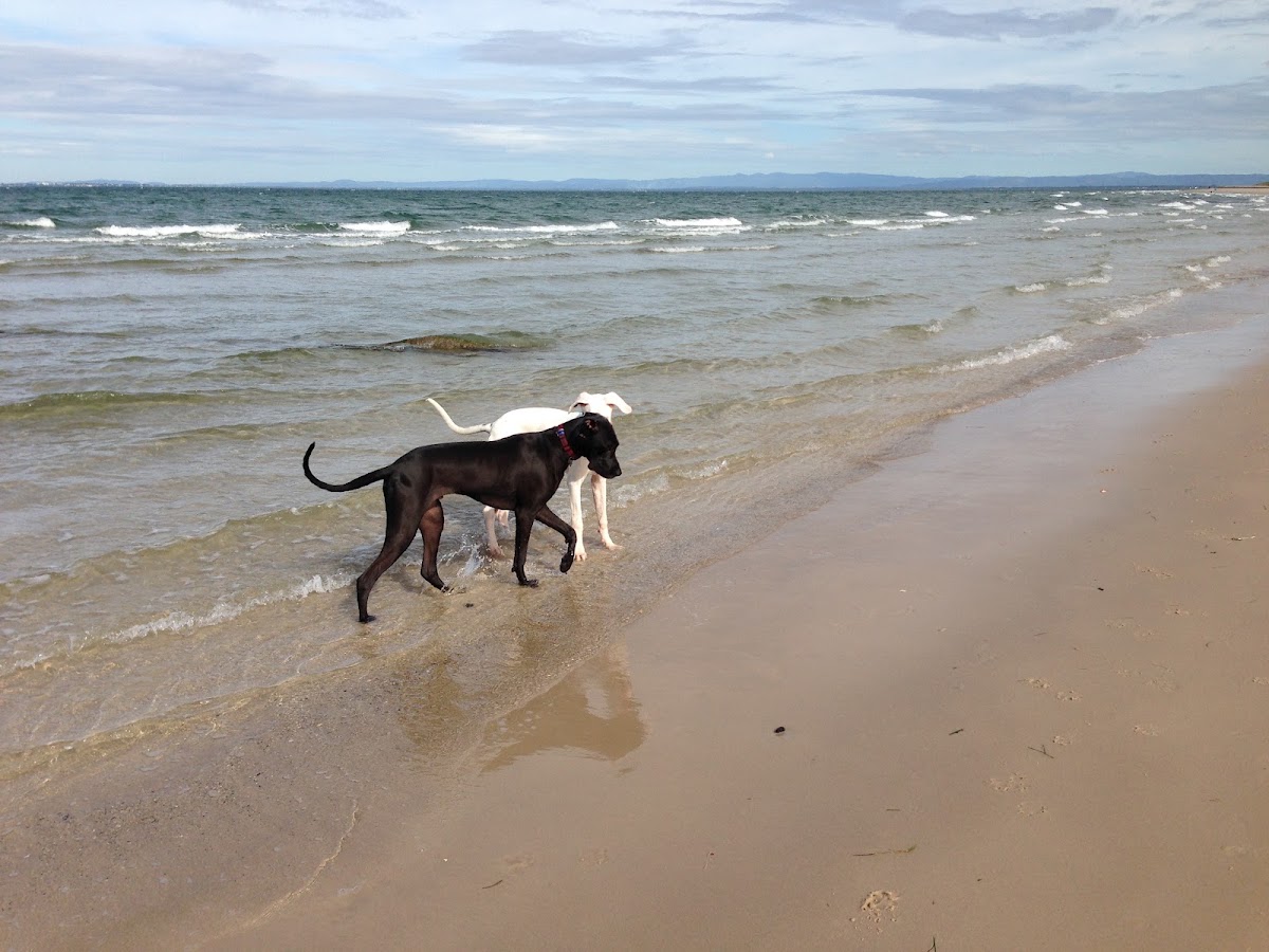 Red Beach