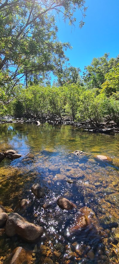 Alligator Creek Falls camping area