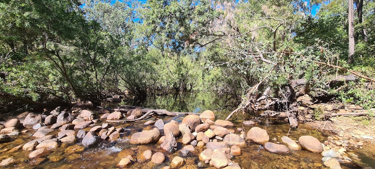 Alligator Creek Falls camping area