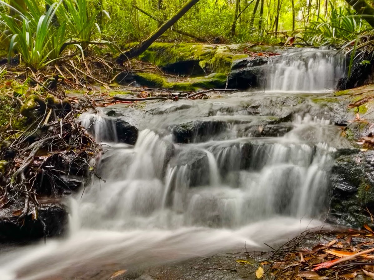 Double Falls