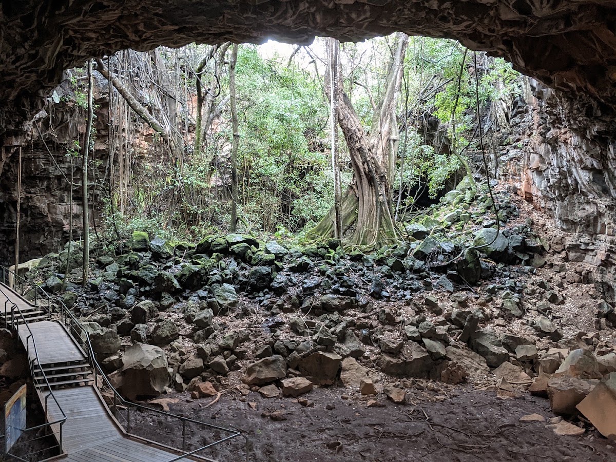 Undara Volcanic National Park
