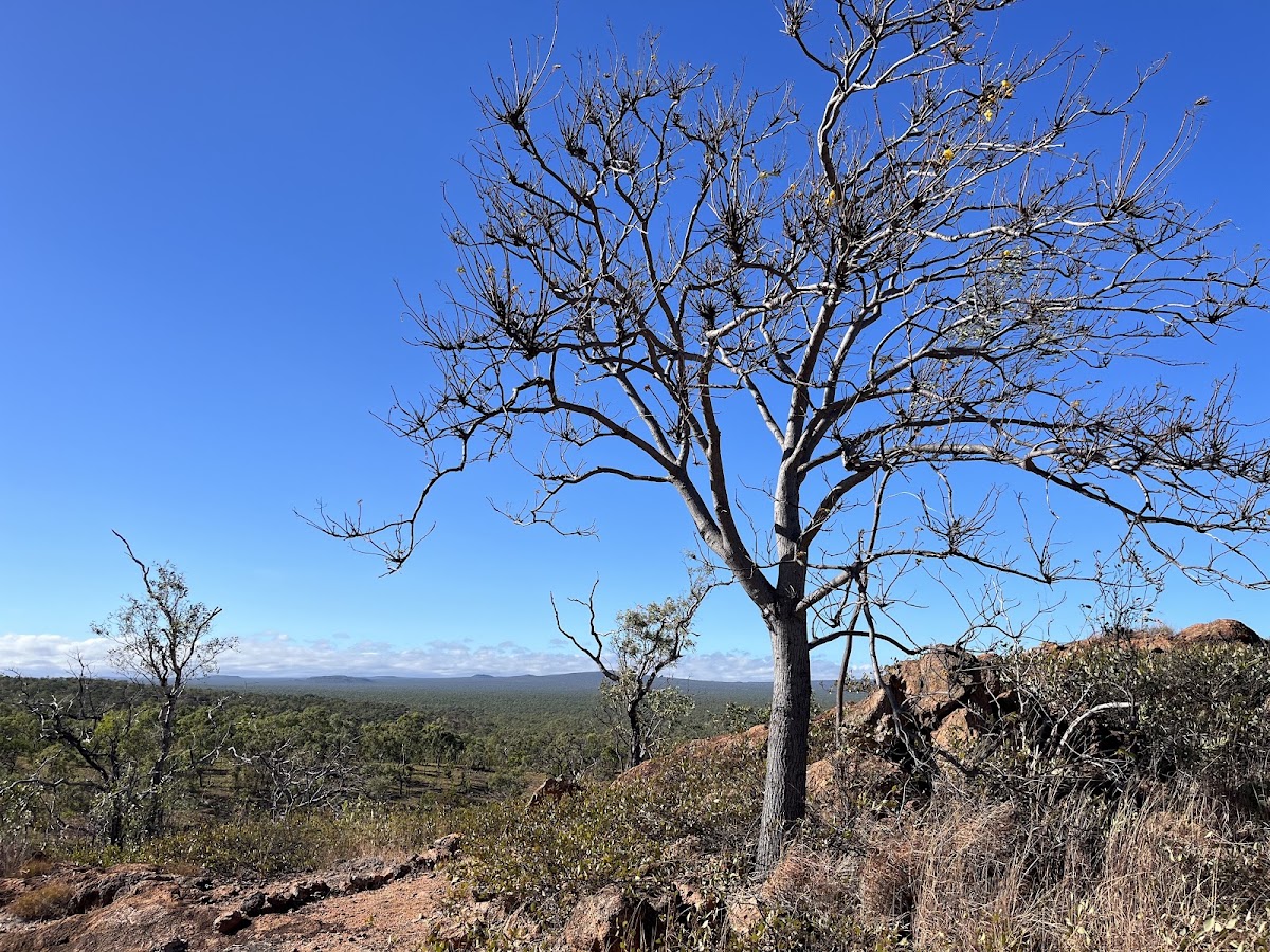 Undara Volcanic National Park
