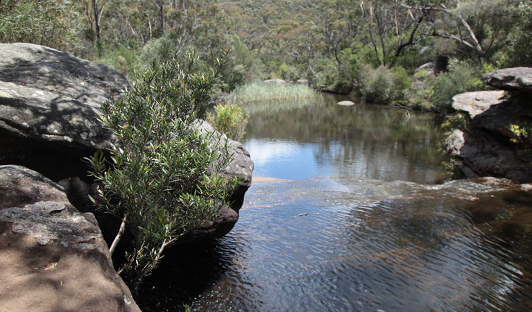 Mirang Pool Campsite