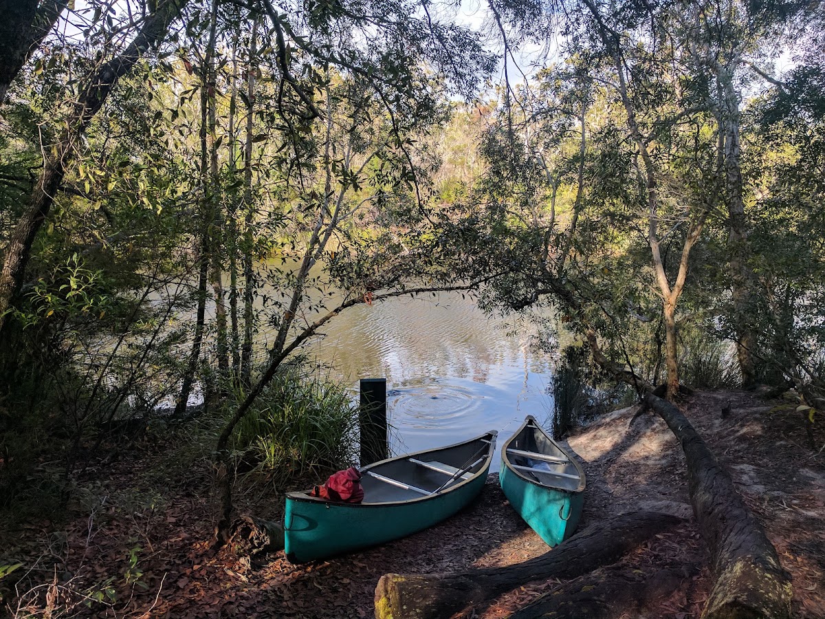 Upper Noosa River Campsite 9