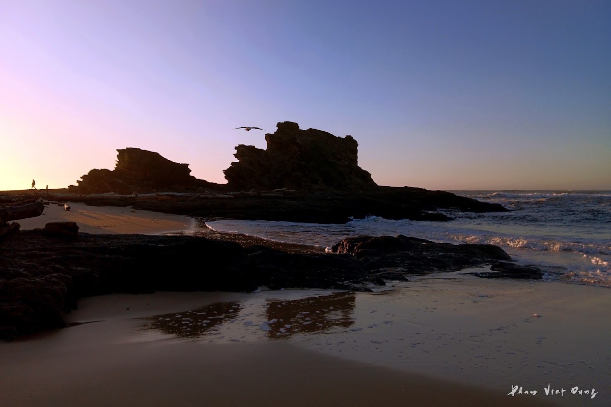 Wellington Beach