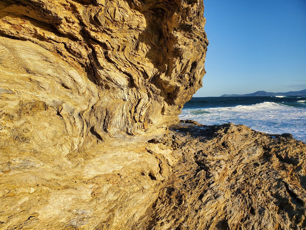 Wellington Beach