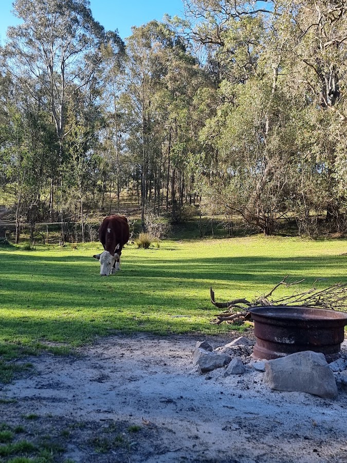 Drovers Camp