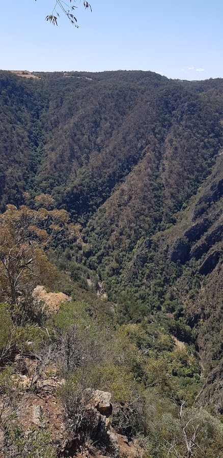 Bungonia Lookdown