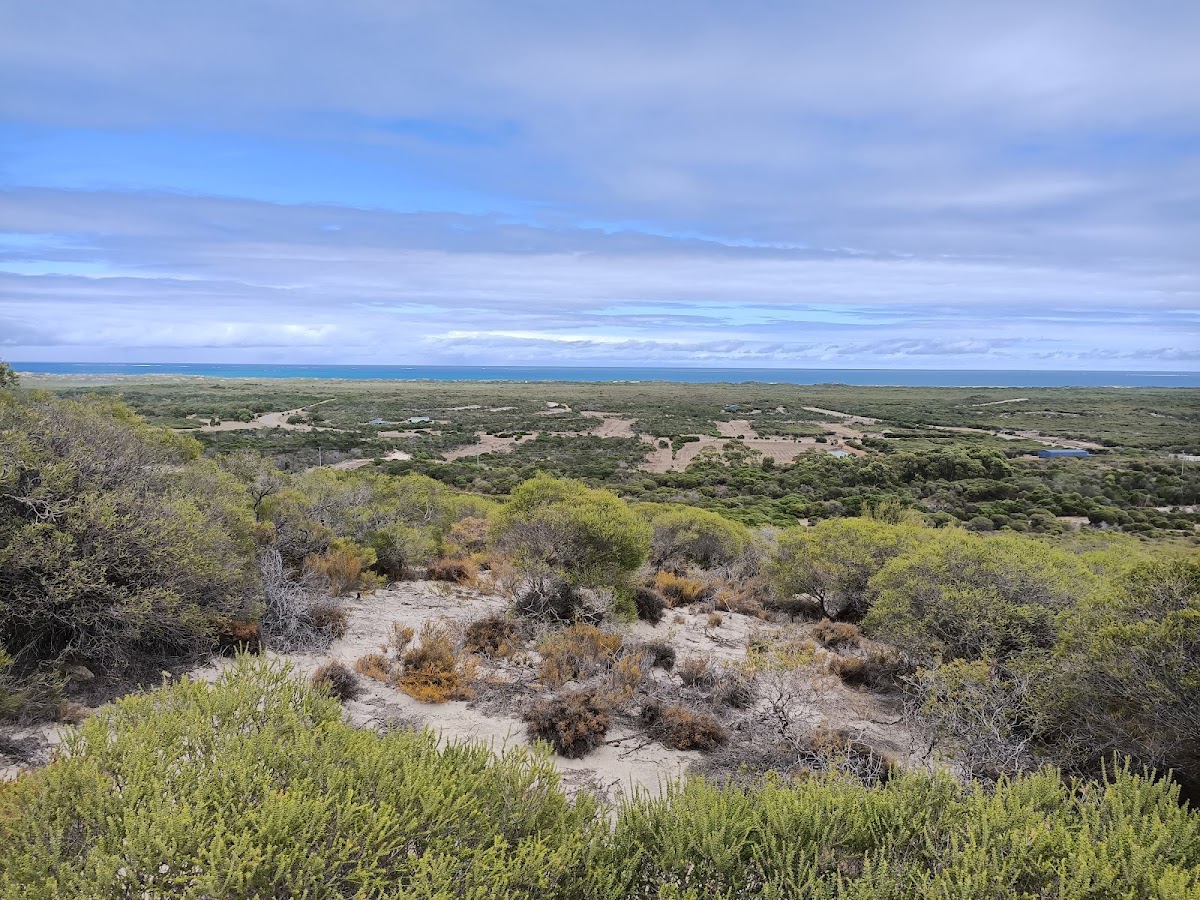 Molah Hill Lookout