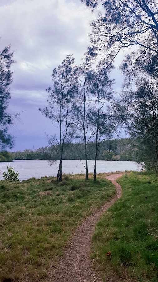 Yarrahapinni Wetlands National Park