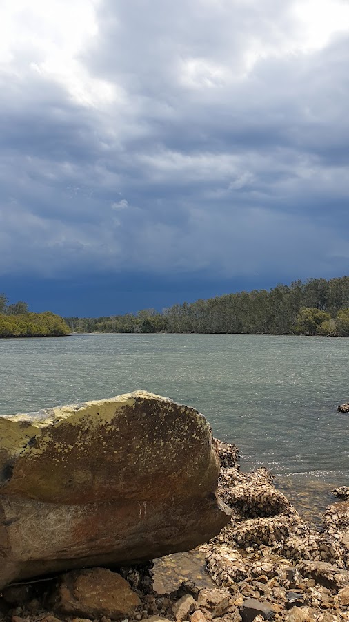 Yarrahapinni Wetlands National Park