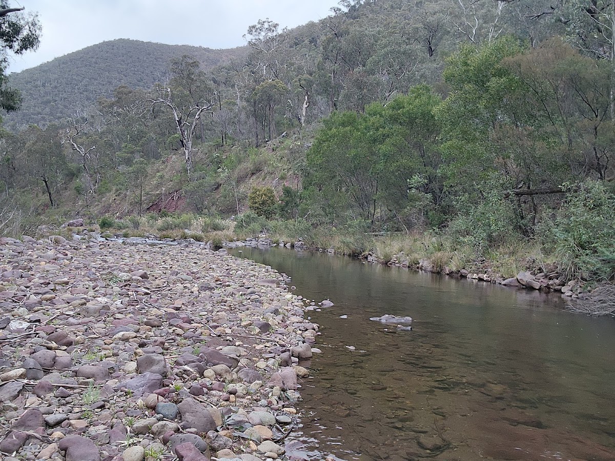 Manna Gums Campground