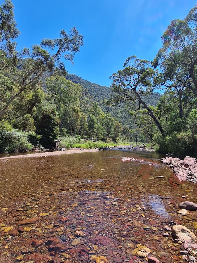 Manna Gums Campground