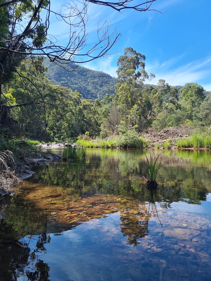 Manna Gums Campground