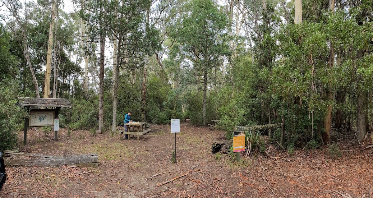 Tea Tree Range State Forest