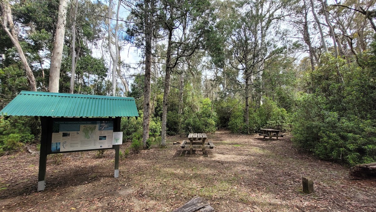 Tea Tree Range State Forest