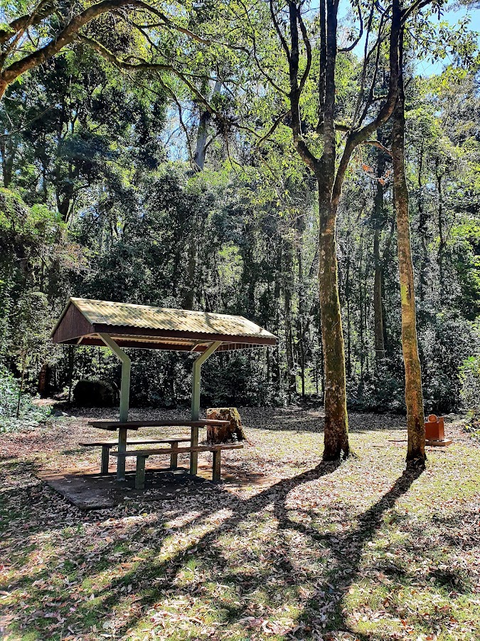 Tooloom National Park